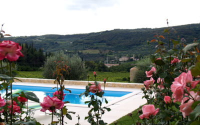 UNA PISCINA INTERRATA, IL REGALO MIGLIORE PER IL TUO GIARDINO